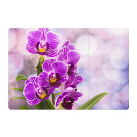 Магнитный плакат 3Х2 с принтом Божественная орхидея в Кировске, Полимерный материал с магнитным слоем | 6 деталей размером 9*9 см | Тематика изображения на принте: 8 марта | букет | весна | красота | куст | лето | орхидея | подарок | сиреневый цвет | цветок | шикарный цветочек