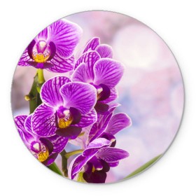 Коврик круглый с принтом Божественная орхидея в Кировске, резина и полиэстер | круглая форма, изображение наносится на всю лицевую часть | 8 марта | букет | весна | красота | куст | лето | орхидея | подарок | сиреневый цвет | цветок | шикарный цветочек