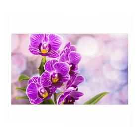 Бумага для упаковки 3D с принтом Божественная орхидея в Кировске, пластик и полированная сталь | круглая форма, металлическое крепление в виде кольца | Тематика изображения на принте: 8 марта | букет | весна | красота | куст | лето | орхидея | подарок | сиреневый цвет | цветок | шикарный цветочек