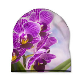 Шапка 3D с принтом Божественная орхидея в Кировске, 100% полиэстер | универсальный размер, печать по всей поверхности изделия | Тематика изображения на принте: 8 марта | букет | весна | красота | куст | лето | орхидея | подарок | сиреневый цвет | цветок | шикарный цветочек