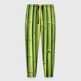 Мужские брюки 3D с принтом Бамбук в Кировске, 100% полиэстер | манжеты по низу, эластичный пояс регулируется шнурком, по бокам два кармана без застежек, внутренняя часть кармана из мелкой сетки | бамбук | дерево | джунгли | кустарник | надёжность | прочность | стена