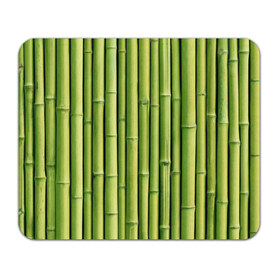 Коврик прямоугольный с принтом Бамбук в Кировске, натуральный каучук | размер 230 х 185 мм; запечатка лицевой стороны | бамбук | дерево | джунгли | кустарник | надёжность | прочность | стена