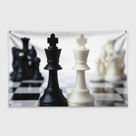 Флаг-баннер с принтом Шахматы в Кировске, 100% полиэстер | размер 67 х 109 см, плотность ткани — 95 г/м2; по краям флага есть четыре люверса для крепления | белая | черная | шахматы