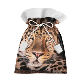 Подарочный 3D мешок с принтом Леопард в Кировске, 100% полиэстер | Размер: 29*39 см | гепард | грация | дикая кошка | добыча | животные | леопард | ловкость | опасность | пятна | хищник | ягуар
