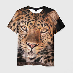 Мужская футболка 3D с принтом Леопард в Кировске, 100% полиэфир | прямой крой, круглый вырез горловины, длина до линии бедер | Тематика изображения на принте: гепард | грация | дикая кошка | добыча | животные | леопард | ловкость | опасность | пятна | хищник | ягуар
