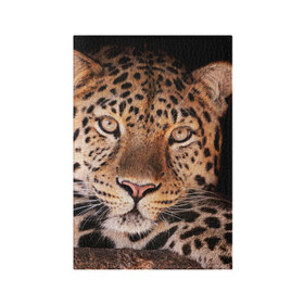 Обложка для паспорта матовая кожа с принтом Леопард в Кировске, натуральная матовая кожа | размер 19,3 х 13,7 см; прозрачные пластиковые крепления | гепард | грация | дикая кошка | добыча | животные | леопард | ловкость | опасность | пятна | хищник | ягуар