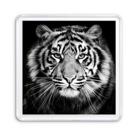 Магнит 55*55 с принтом Красавец тигр в Кировске, Пластик | Размер: 65*65 мм; Размер печати: 55*55 мм | джунгли | дикая кошка | животные | зверь | король | кровь | мясо | опасность | охотник | тигр | хищник | царь | цирк