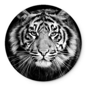 Коврик круглый с принтом Красавец тигр в Кировске, резина и полиэстер | круглая форма, изображение наносится на всю лицевую часть | Тематика изображения на принте: джунгли | дикая кошка | животные | зверь | король | кровь | мясо | опасность | охотник | тигр | хищник | царь | цирк