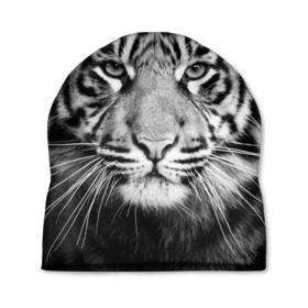 Шапка 3D с принтом Красавец тигр в Кировске, 100% полиэстер | универсальный размер, печать по всей поверхности изделия | джунгли | дикая кошка | животные | зверь | король | кровь | мясо | опасность | охотник | тигр | хищник | царь | цирк