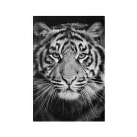 Обложка для паспорта матовая кожа с принтом Красавец тигр в Кировске, натуральная матовая кожа | размер 19,3 х 13,7 см; прозрачные пластиковые крепления | джунгли | дикая кошка | животные | зверь | король | кровь | мясо | опасность | охотник | тигр | хищник | царь | цирк