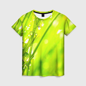 Женская футболка 3D с принтом Макро в Кировске, 100% полиэфир ( синтетическое хлопкоподобное полотно) | прямой крой, круглый вырез горловины, длина до линии бедер | зеленая | капля | природа