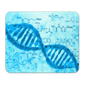 Коврик прямоугольный с принтом ДНК в Кировске, натуральный каучук | размер 230 х 185 мм; запечатка лицевой стороны | абстракция | биология | днк | молекула | синяя.цепочка | формула