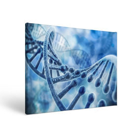 Холст прямоугольный с принтом Молекула ДНК в Кировске, 100% ПВХ |  | dna | биохимия | внешность | ген | генетика | днк | молекула | наследственность | спираль | способности | структура | характер | черты