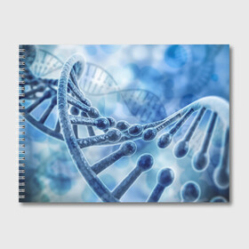 Альбом для рисования с принтом Молекула ДНК в Кировске, 100% бумага
 | матовая бумага, плотность 200 мг. | dna | биохимия | внешность | ген | генетика | днк | молекула | наследственность | спираль | способности | структура | характер | черты