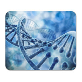 Коврик прямоугольный с принтом Молекула ДНК в Кировске, натуральный каучук | размер 230 х 185 мм; запечатка лицевой стороны | dna | биохимия | внешность | ген | генетика | днк | молекула | наследственность | спираль | способности | структура | характер | черты