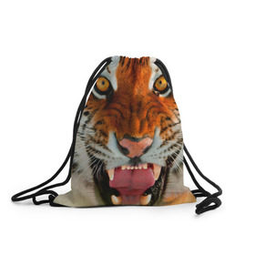 Рюкзак-мешок 3D с принтом Амурский тигр в Кировске, 100% полиэстер | плотность ткани — 200 г/м2, размер — 35 х 45 см; лямки — толстые шнурки, застежка на шнуровке, без карманов и подкладки | Тематика изображения на принте: амур | голова | животные | кошка | оскал | тигр