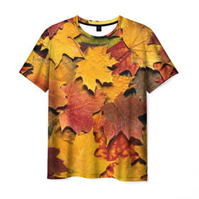 Мужская футболка 3D с принтом Осень на дворе в Кировске, 100% полиэфир | прямой крой, круглый вырез горловины, длина до линии бедер | Тематика изображения на принте: бордовый | жёлтый | красный | листва | листья