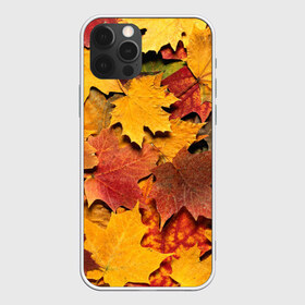 Чехол для iPhone 12 Pro Max с принтом Осень на дворе в Кировске, Силикон |  | бордовый | жёлтый | красный | листва | листья