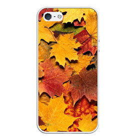 Чехол для iPhone 5/5S матовый с принтом Осень на дворе в Кировске, Силикон | Область печати: задняя сторона чехла, без боковых панелей | Тематика изображения на принте: бордовый | жёлтый | красный | листва | листья