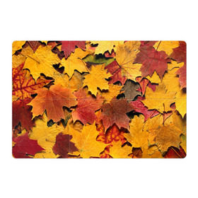 Магнитный плакат 3Х2 с принтом Осень на дворе в Кировске, Полимерный материал с магнитным слоем | 6 деталей размером 9*9 см | бордовый | жёлтый | красный | листва | листья