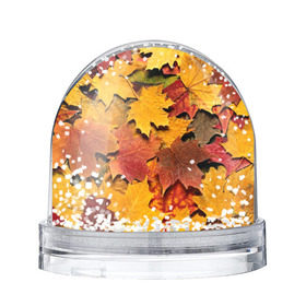 Снежный шар с принтом Осень на дворе в Кировске, Пластик | Изображение внутри шара печатается на глянцевой фотобумаге с двух сторон | бордовый | жёлтый | красный | листва | листья