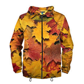 Мужская ветровка 3D с принтом Осень на дворе в Кировске, 100% полиэстер | подол и капюшон оформлены резинкой с фиксаторами, два кармана без застежек по бокам, один потайной карман на груди | бордовый | жёлтый | красный | листва | листья