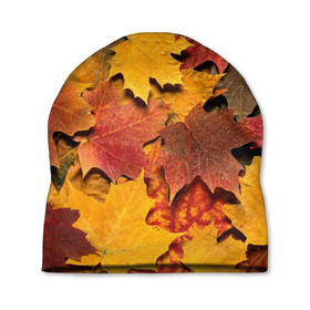 Шапка 3D с принтом Осень на дворе в Кировске, 100% полиэстер | универсальный размер, печать по всей поверхности изделия | бордовый | жёлтый | красный | листва | листья