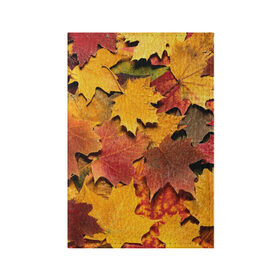 Обложка для паспорта матовая кожа с принтом Осень на дворе в Кировске, натуральная матовая кожа | размер 19,3 х 13,7 см; прозрачные пластиковые крепления | бордовый | жёлтый | красный | листва | листья