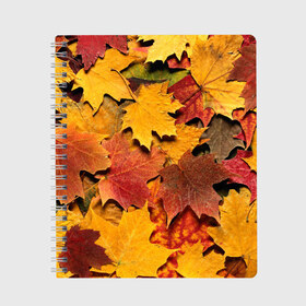 Тетрадь с принтом Осень на дворе в Кировске, 100% бумага | 48 листов, плотность листов — 60 г/м2, плотность картонной обложки — 250 г/м2. Листы скреплены сбоку удобной пружинной спиралью. Уголки страниц и обложки скругленные. Цвет линий — светло-серый
 | бордовый | жёлтый | красный | листва | листья