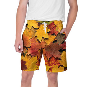 Мужские шорты 3D с принтом Осень на дворе в Кировске,  полиэстер 100% | прямой крой, два кармана без застежек по бокам. Мягкая трикотажная резинка на поясе, внутри которой широкие завязки. Длина чуть выше колен | бордовый | жёлтый | красный | листва | листья