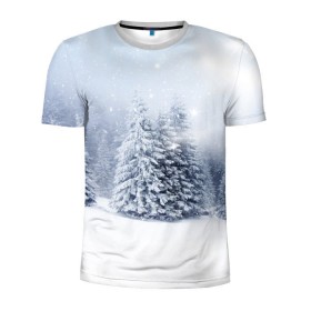 Мужская футболка 3D спортивная с принтом Зимняя пора в Кировске, 100% полиэстер с улучшенными характеристиками | приталенный силуэт, круглая горловина, широкие плечи, сужается к линии бедра | вьюга | горы | зима | лес | метель | мороз | пейзаж | пурга | снег | снегопад | сосулька | стужа | сугроб | холод