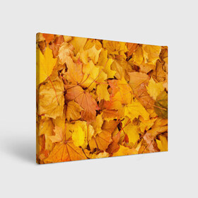 Холст прямоугольный с принтом Золотая листва в Кировске, 100% ПВХ |  | жёлтый осень | золото | листья