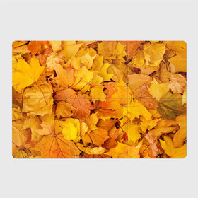 Магнитный плакат 3Х2 с принтом Золотая листва в Кировске, Полимерный материал с магнитным слоем | 6 деталей размером 9*9 см | жёлтый осень | золото | листья