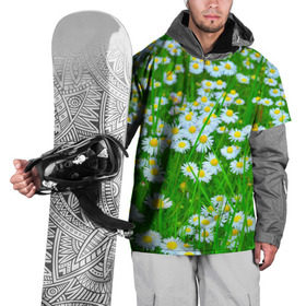 Накидка на куртку 3D с принтом Ромашки в Кировске, 100% полиэстер |  | поле | природа | ромашка | цветы