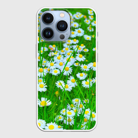 Чехол для iPhone 13 Pro с принтом Ромашки в Кировске,  |  | поле | природа | ромашка | цветы