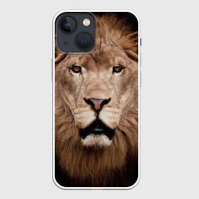 Чехол для iPhone 13 mini с принтом Царь зверей в Кировске,  |  | власть | дикая кошка | животное | король джунглей | лев | львица | мощь | мудрость | охотник | сила | хитрость | хищник | царь зверей