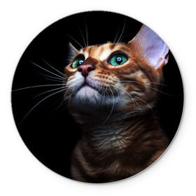 Коврик круглый с принтом Милый котик в Кировске, резина и полиэстер | круглая форма, изображение наносится на всю лицевую часть | кошка | темный | фото