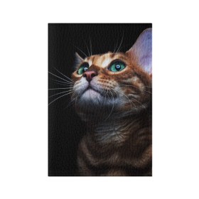 Обложка для паспорта матовая кожа с принтом Милый котик в Кировске, натуральная матовая кожа | размер 19,3 х 13,7 см; прозрачные пластиковые крепления | кошка | темный | фото