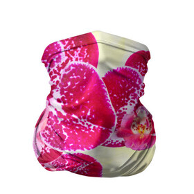 Бандана-труба 3D с принтом Красивые цветы в Кировске, 100% полиэстер, ткань с особыми свойствами — Activecool | плотность 150‒180 г/м2; хорошо тянется, но сохраняет форму | божественный | букет | великолепный | восхитительный | душистый аромат | красивый | красота | невероятный | неописуемый | приятный запах | растение | фауна | цветок | цветы | шикарный
