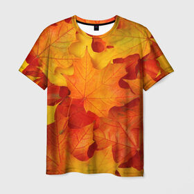 Мужская футболка 3D с принтом Кленовые листья в Кировске, 100% полиэфир | прямой крой, круглый вырез горловины, длина до линии бедер | дары осени | жёлтый | золотой | клён | краски | красный | красота | листва | листья | наряд | оранжевый | осень | покров | природа