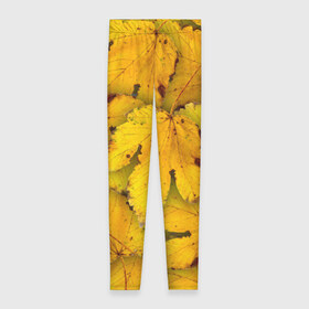 Леггинсы 3D с принтом Жёлтые листья в Кировске, 80% полиэстер, 20% эластан | Эластичный пояс, зауженные к низу, низкая посадка | жёлтый | золотой | клён | красота | листва | листья | наряд | осень | осина | покров | природа