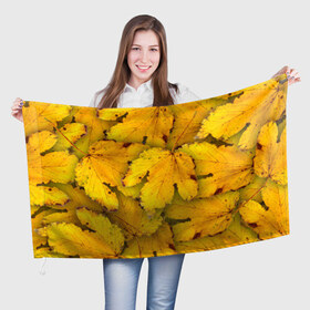 Флаг 3D с принтом Жёлтые листья в Кировске, 100% полиэстер | плотность ткани — 95 г/м2, размер — 67 х 109 см. Принт наносится с одной стороны | жёлтый | золотой | клён | красота | листва | листья | наряд | осень | осина | покров | природа