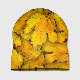 Шапка 3D с принтом Жёлтые листья в Кировске, 100% полиэстер | универсальный размер, печать по всей поверхности изделия | Тематика изображения на принте: жёлтый | золотой | клён | красота | листва | листья | наряд | осень | осина | покров | природа