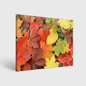 Холст прямоугольный с принтом Осенние листья в Кировске, 100% ПВХ |  | жёлтый | красный | листва | оранжевый | осень