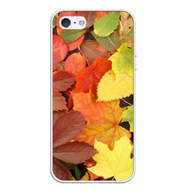 Чехол силиконовый для Телефон Apple iPhone 5/5S с принтом Осенние листья в Кировске, Силикон | Область печати: задняя сторона чехла, без боковых панелей | Тематика изображения на принте: жёлтый | красный | листва | оранжевый | осень