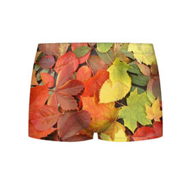 Мужские трусы 3D с принтом Осенние листья в Кировске, 50% хлопок, 50% полиэстер | классическая посадка, на поясе мягкая тканевая резинка | жёлтый | красный | листва | оранжевый | осень