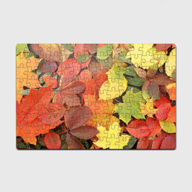 Пазл магнитный 126 элементов с принтом Осенние листья в Кировске, полимерный материал с магнитным слоем | 126 деталей, размер изделия —  180*270 мм | жёлтый | красный | листва | оранжевый | осень