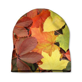 Шапка 3D с принтом Осенние листья в Кировске, 100% полиэстер | универсальный размер, печать по всей поверхности изделия | жёлтый | красный | листва | оранжевый | осень