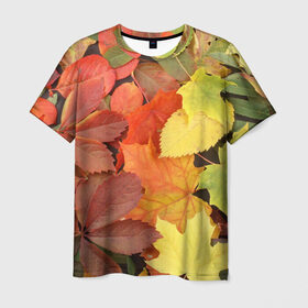 Мужская футболка 3D с принтом Осенние листья в Кировске, 100% полиэфир | прямой крой, круглый вырез горловины, длина до линии бедер | жёлтый | красный | листва | оранжевый | осень