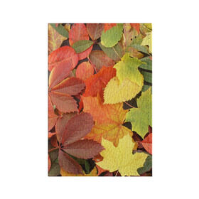 Обложка для паспорта матовая кожа с принтом Осенние листья в Кировске, натуральная матовая кожа | размер 19,3 х 13,7 см; прозрачные пластиковые крепления | жёлтый | красный | листва | оранжевый | осень